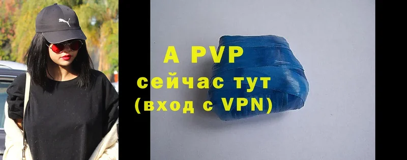 A PVP СК КРИС  Лабинск 